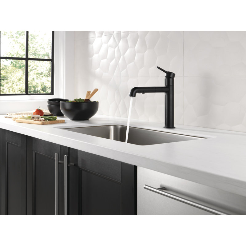 Robinet d'évier de cuisine à poignée simple avec bec rétractable Trinsic, Noir mat