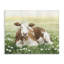 «Cow & Meadow Blossoms», art mural sur toile par Grace Popp-741671998