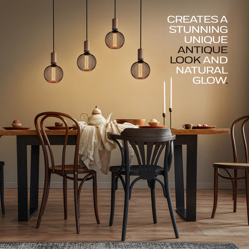 Warm Black Globe LED Bulb with Metal Cage