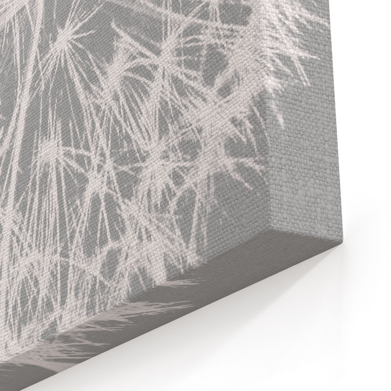 «Dandelion 7» par Irena Orlov, reproduction d'art sur toile tendue à motif floral blanc et gris, H 24 po x l 24 po x P 2 po