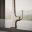 Graze Kitchen Sink Swing Spout Faucet With Sidespray-52985095