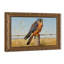 Cadre mural vintage orné de fil de fer barbelé Kestrel – Cadre décoratif doré pour œuvres d'art.-409090206