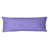 Purple/Blue