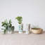 Cohen 7'' Stoneware Table Vase