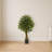Ficus Artificial Tree