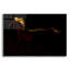 «Rim Light» par Susan Friedman-1915019906
