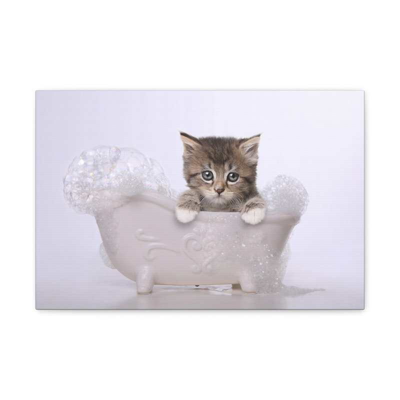 «Cute Main Coon Kitten Bathee», art mural, H 12 po x l 18 po