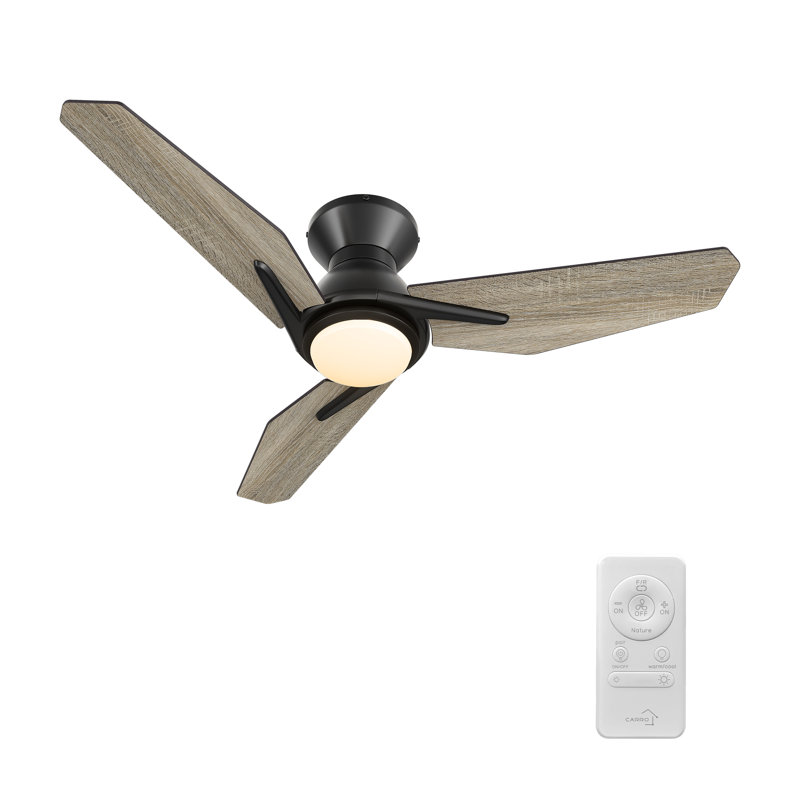 Vant 44'' Ceiling Fan with LED Lights