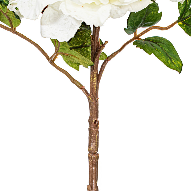 16.5 Peony Stem. Each bag contains three sprays., Cream