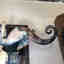 Customer photo 1 of 2