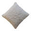 Aileas Square Throw Cushion