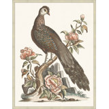 Grand Pheasant 1 Print