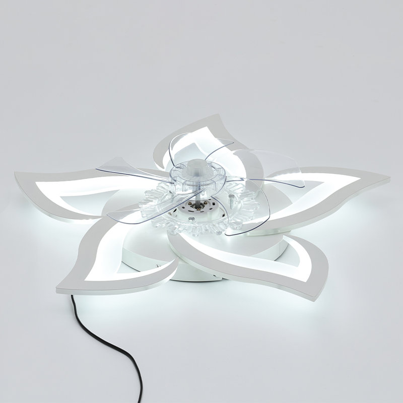 Ceiling Fan with LED Lights