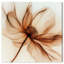 Décoration murale en toile «Fragile Elegance I» par Art Remedy-118136384-118136385-118136386