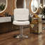 Fauteuil de coiffeur professionnel avec pivotement à 360 ° et hauteur réglable-132005621-132005620