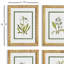 White Floral Study Set