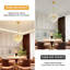Aaliyha Chandelier