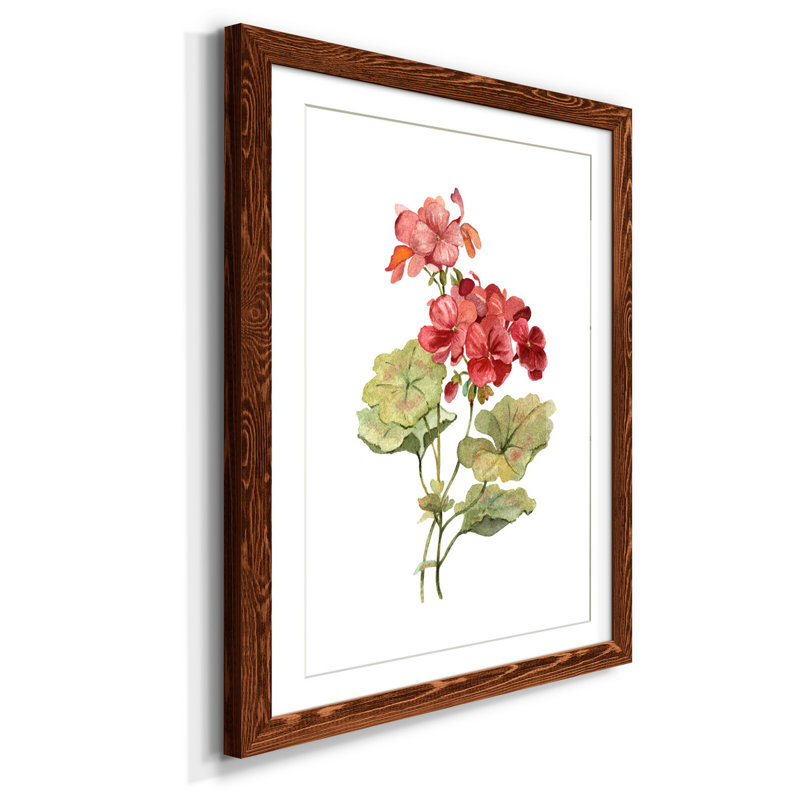 Écarlate géranium - Reproduction d'art sur papier encadrée, H 44 po x l 31 po x P 1 po, Érable