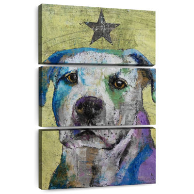 Bull-terrier Brampt