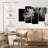 Rhino In Monochrome-107509353