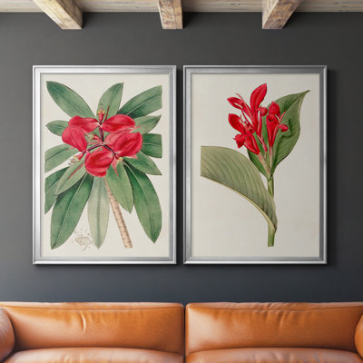 " Flora Of The Tropics III " 2 - Pieces