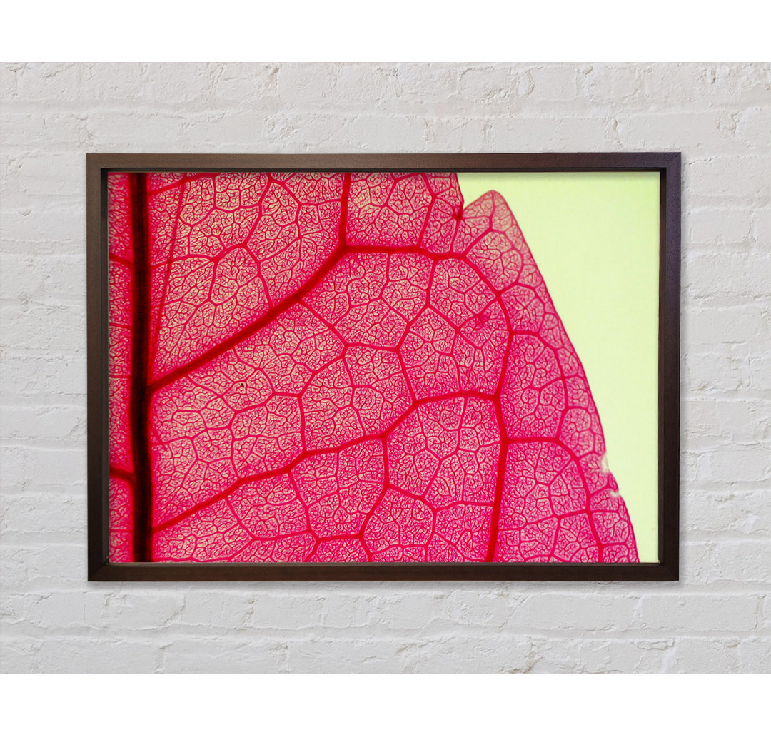 Pink Leave Beauty - Einzelner Bilderrahmen Kunstdrucke auf Leinwand