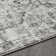 Raghdah Oriental Indoor Rug