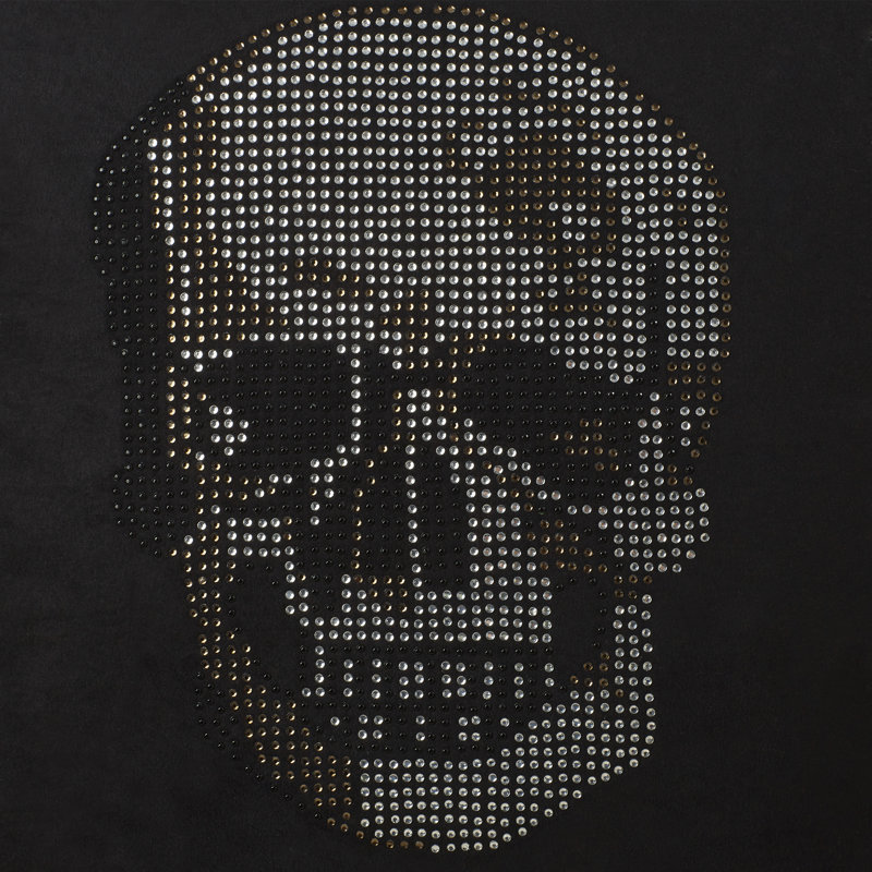Luminescence Rhinestone Skull Square Pillow Cover & Insert, Black