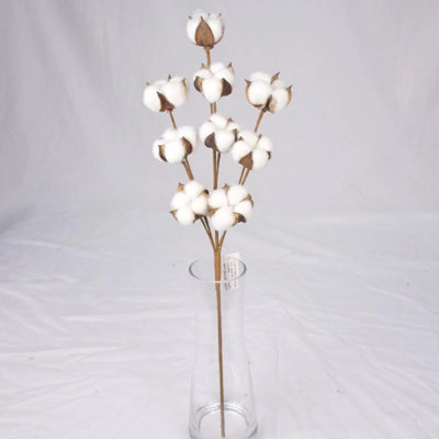 Cotton Arrangement
