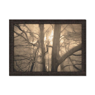 Somewhere in the Forest by Hal Halli. Paper Print - Mounted & Framed with Clear Acrylic