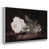 White Floater Framed Canvas is unavailable
