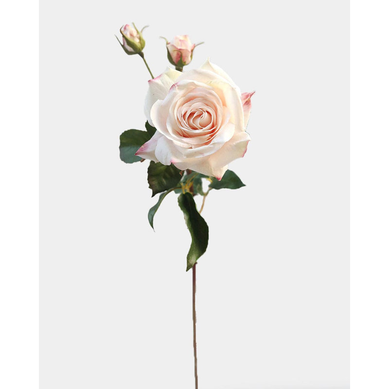 Real Touch Prestige rose rose 22 po, Pink