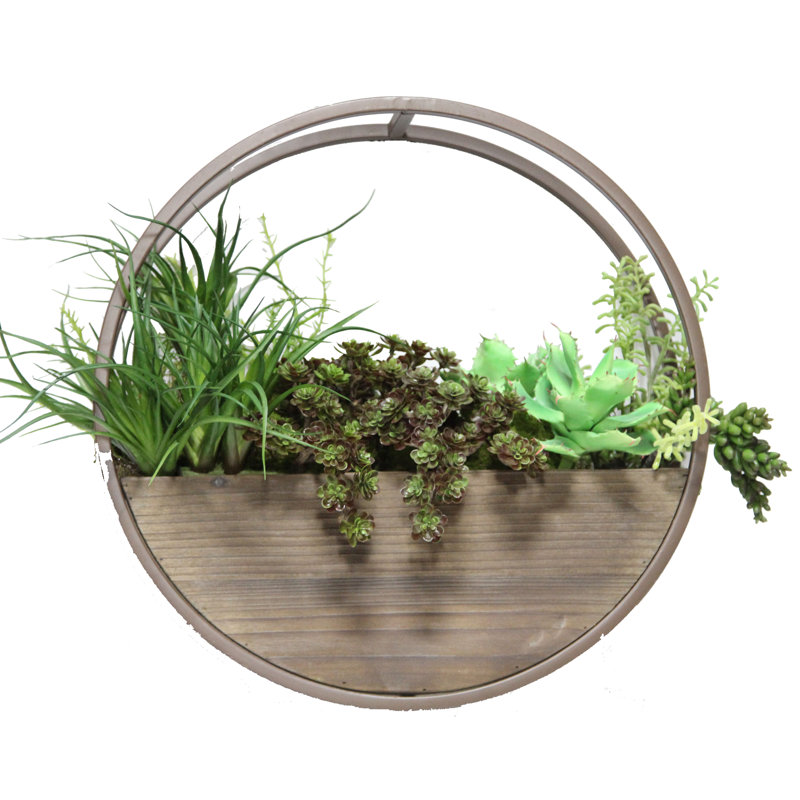 Aarush Wood Wall Planter