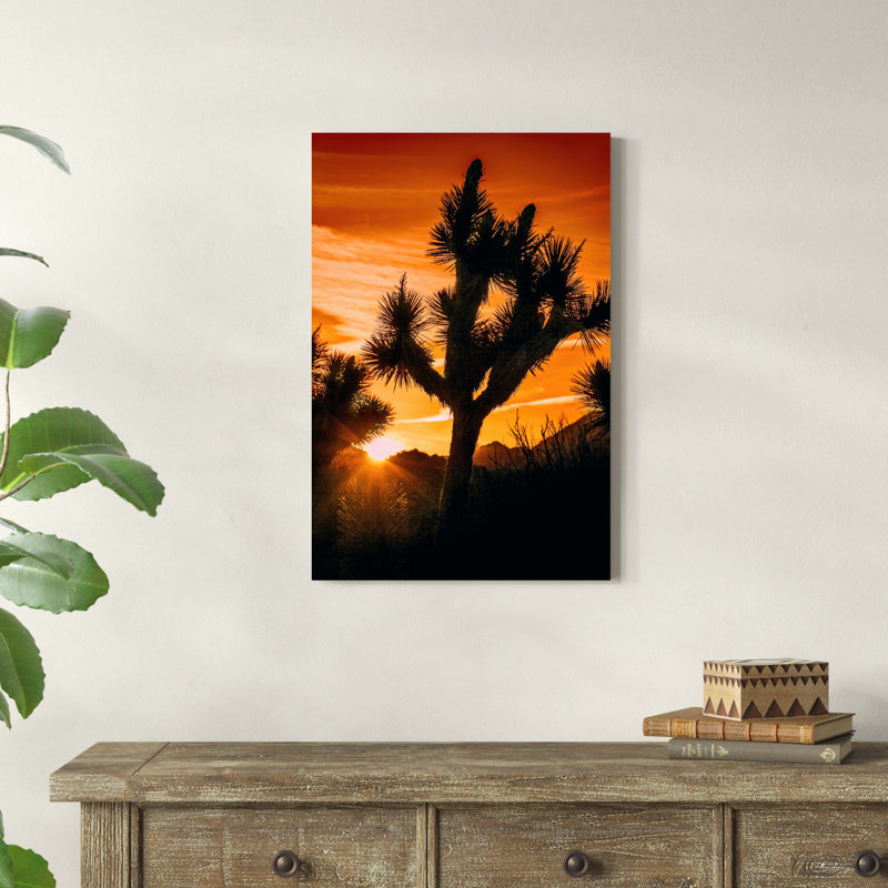 Vue de Joshua Tree V, H 30 po x l 20 po x P 1,25 po