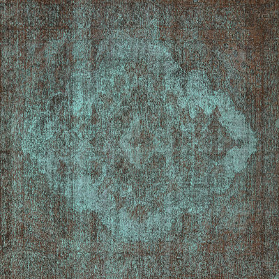 Dalana Oriental Indoor Rug