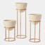 Wise Egg Planter-23116830-24578531