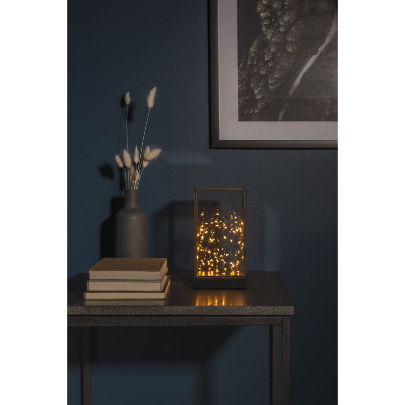 Holiday Lighting