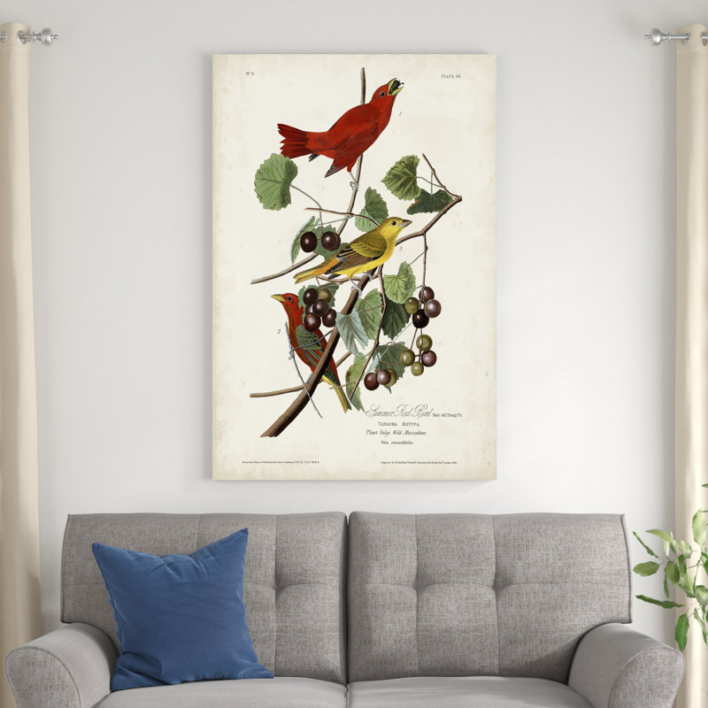 Pl 44, oiseau rouge d'été, H 48 po x l 32 po