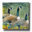 Winston Porter «Trio» par Annelein Beukenkamp, art mural sur toile-1386970785