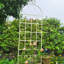 Treillis de jardin en métal 86,7 po x 19,7 po, paquet de 2, rouille blanc crème, pour plantes grimpantes, raisin, haricots, lierre à installation simple, pois