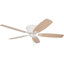 Ventilateur de plafond 52 po avec chaînette Glen Alden-484856302