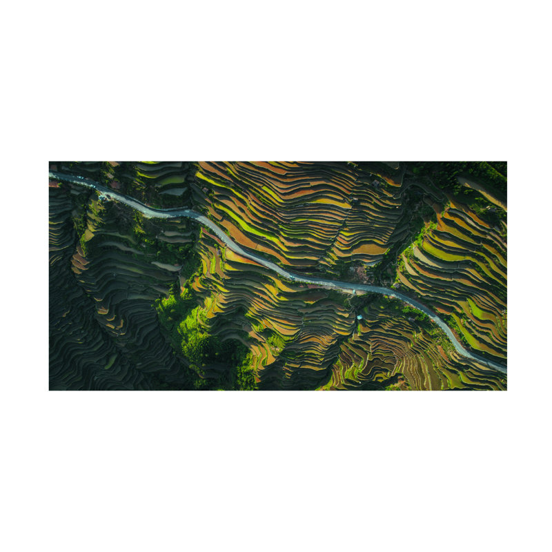 Œuvre sur toile, Rouleau Tianqi, H 16 po x l 32 po