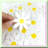 Golden Years Celebration Kit with Glitter Banner