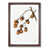 Walnut Framed selected