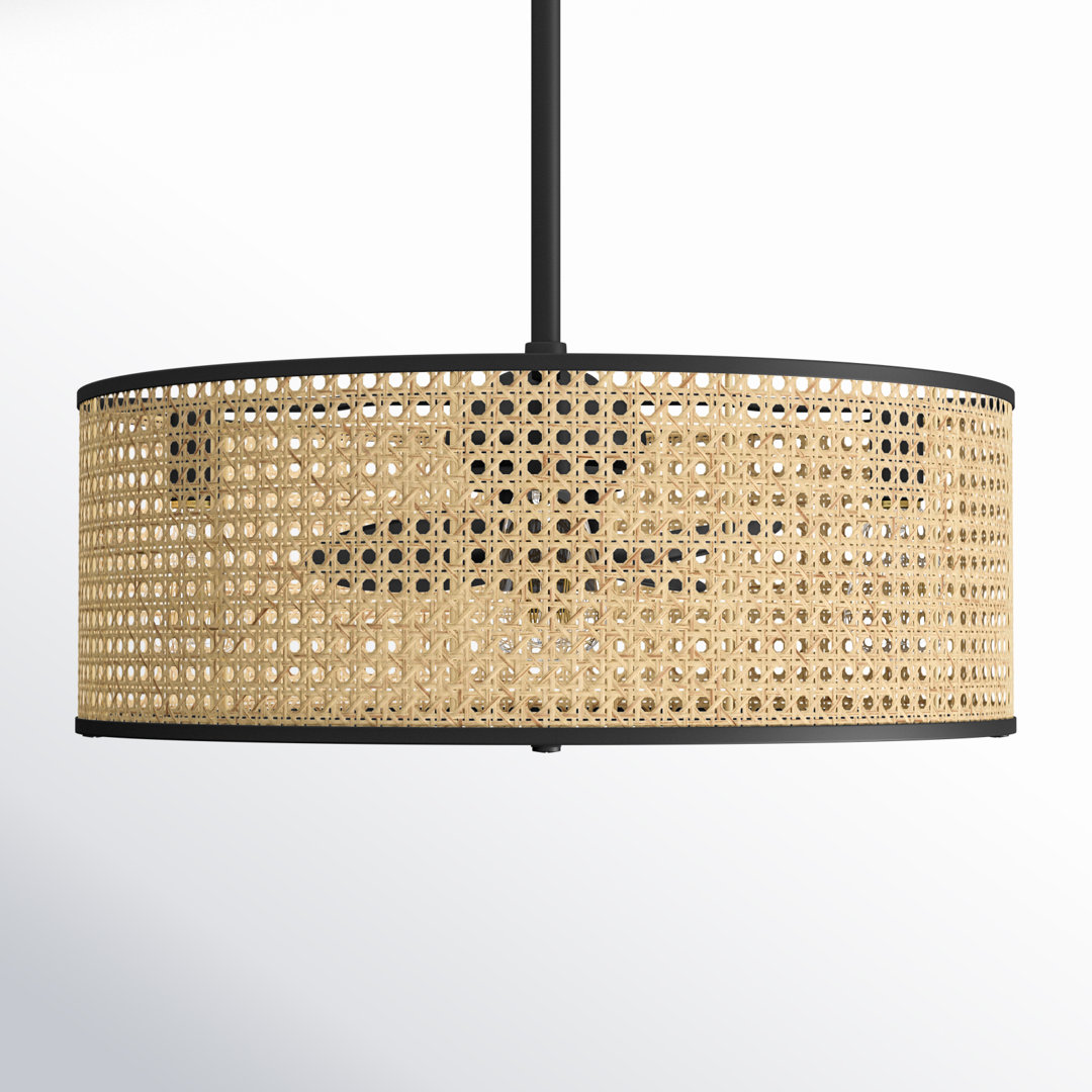 Hampson 25" 4-Light Fandelier with Remote Control Birch Lane™