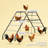 Chicken Activity Shelf,Chicken Coop Perches