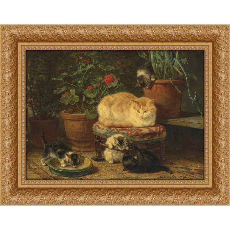 Kittens At Play