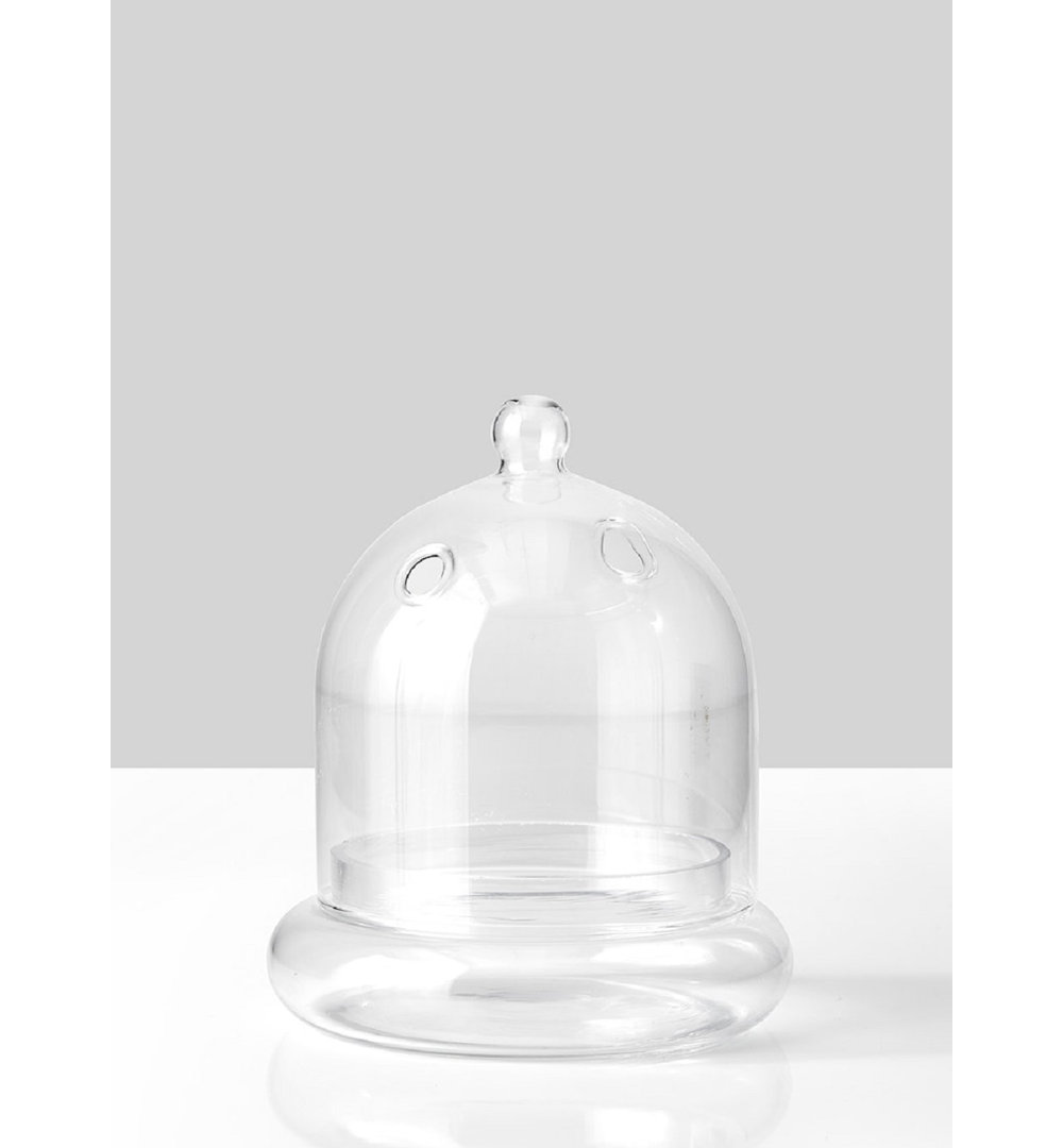 Bridgetown Glass Terrarium Wrought Studio™