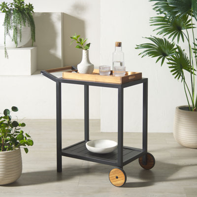 Tonga Aluminum Outdoor Bar Cart by AllModern