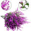 Arrangement-1739132710